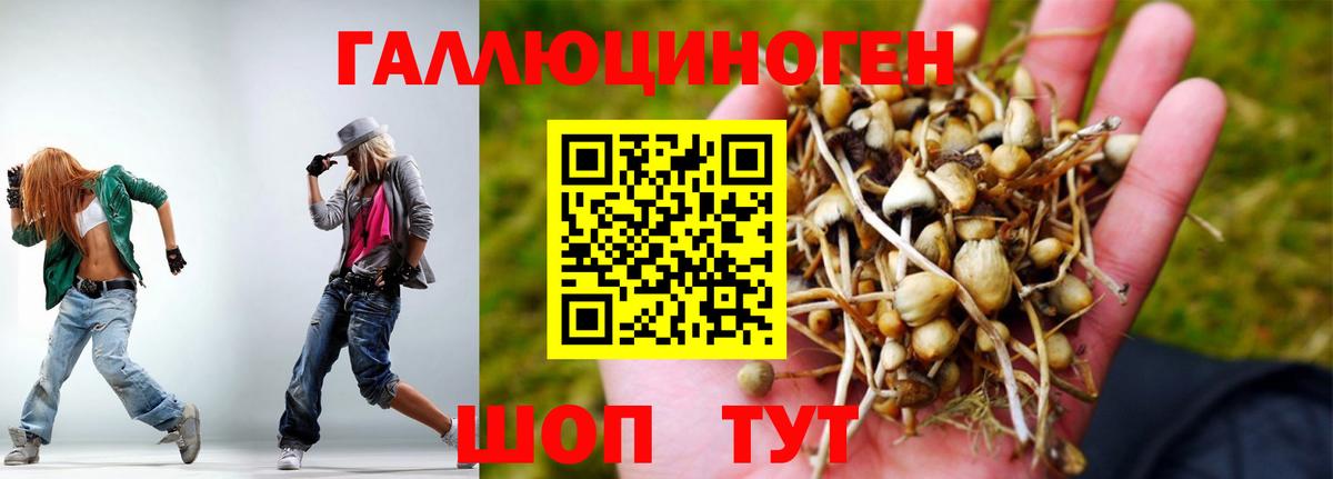 Алушта  Псилоцибиновые грибы ЛСД  Галлюциногенные грибы Psilocybe  Вход с VPN 